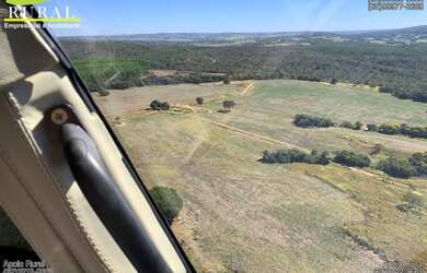 Imagem 6: Fazenda de 308 alqueires em Santa Cruz de Goiás