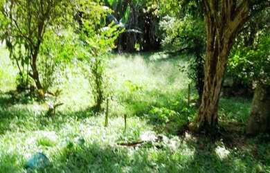 Imagem: O terreno possui 525m² de Área e está localizado em Mangaratiba