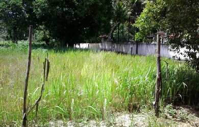 Imagem 7: Lote/Terreno para venda com 980M2 PLANO a 200 metros do asfalto