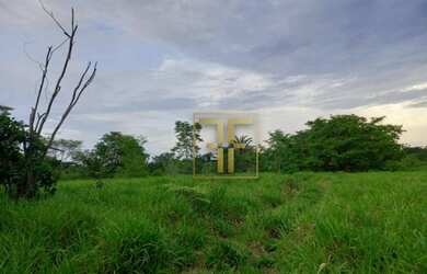 Imagem 10: Fazenda 254 Alqueires Mundo Novo, GO