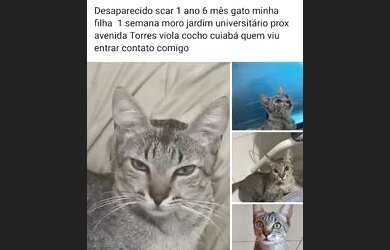 Imagem: A casa em condomínio possui 2 Dormitórios, 3 Banheiros, 4