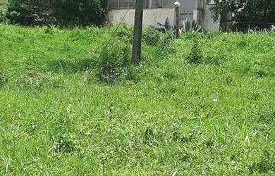 Imagem 3: Fazenda com pasto nativo à venda, 500000 m² por R$ 1.480.000 Cidade...