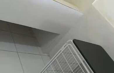 Imagem 3: Petshop em Amargosa. 30m² de Área