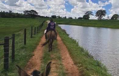 Imagem: A fazenda está localizado em Itauçu, GO à venda por R$30.000.000