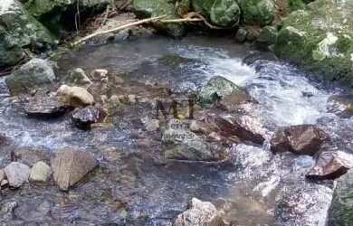 Imagem 7: Sítio bairro São Jacó, Nova Petrópolis.RS Ref. 159