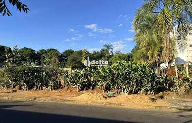 Imagem 7: Área disponível para venda no bairro Chácaras Tubalina E Quartel em...