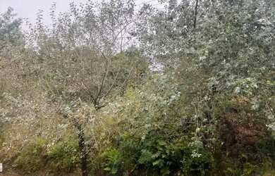 Imagem 12: Terreno - Bairro Vale das Colinas