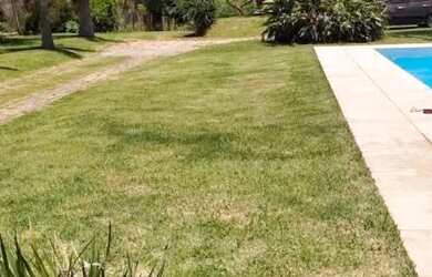 Imagem 5: Sitio com 98.000m2 PREÇO BOM Valor a baixo de mercado