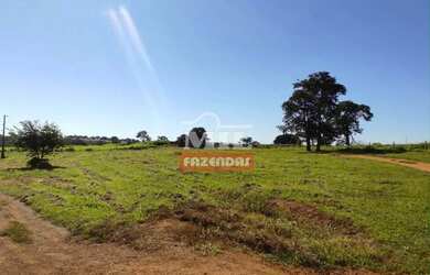 Imagem 3: Fazenda 403 Alqueires 1.950 hectares Aparecia do Rio Doce - GO