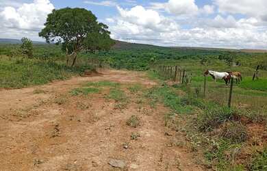 Imagem 4: Lote. 360m² de Área