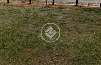 Imagem 5: Santa Cruz de Goiás - Fazenda de 22 Alqueires codigo 129734