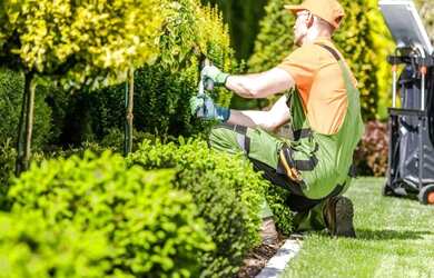 Imagem: O depósito possui 119m² de Área e está localizado em Vila