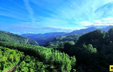 Imagem 7: Sítio / Chácara para Venda em Nova Petrópolis, São Jacó