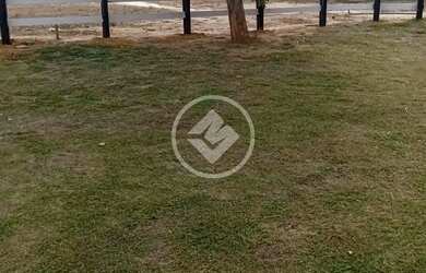 Imagem 6: Santa Cruz de Goiás - Fazenda de 22 Alqueires codigo 129734