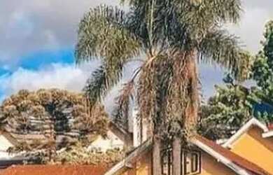 Imagem 12: Terreno - Bairro São José