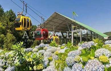 Imagem 12: EXCELENTE TERRENO PARA SUA CASA NA SERRA