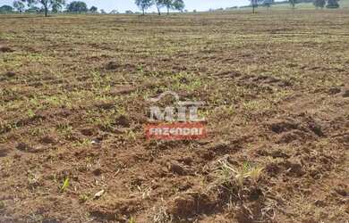 Imagem 9: Fazenda 403 Alqueires 1.950 hectares Aparecia do Rio Doce - GO