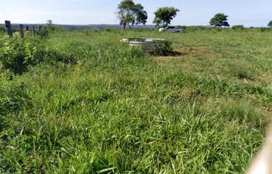 Imagem 12: Vendo Fazenda de 440 ha à 90 km Cuiabá - Rosário do Oeste MT(totalmene documenta e formada