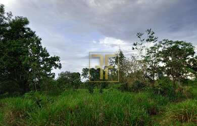 Imagem 6: Fazenda 254 Alqueires Mundo Novo, GO