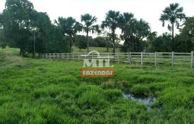 Imagem 5: FAZENDA 102 ALQUEIRES (493 hectares) BOM JARDIM DE GOIÁS - GO