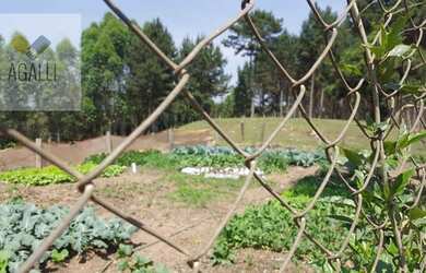 Imagem 2: Chácara com 3 dormitórios, 6000 m² - venda por R$ 6.000.000,00 ou aluguel...