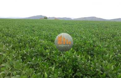 Imagem 4: Fazenda à venda, 797 alqueires por R$ 140.000.000 - Novo Planalto/GO