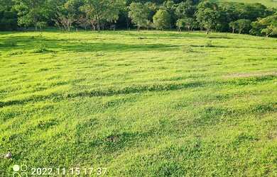 Imagem: A chácara possui 20.000m² de Área e está localizado em