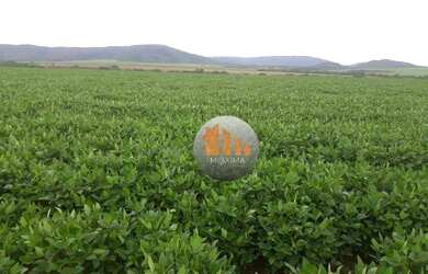 Imagem 3: Fazenda à venda, 797 alqueires por R$ 140.000.000 - Novo Planalto/GO