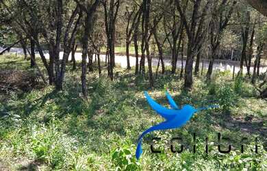 Imagem 9: Terreno urbano barato pronto para construir medindo 1820m² em Agudos...