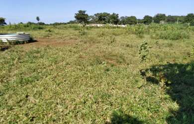 Imagem 4: Vendo Fazenda de 440 ha à 90 km Cuiabá - Rosário do Oeste MT(totalmene documenta e formada