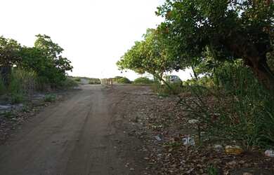 Imagem 3: Vendo excelente Terreno em Praia Bela - Pitibu/PB