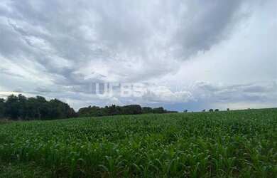 Imagem 2: Fazenda/Sítio/Chácara para venda tem 288000 metros quadrados