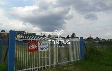 Imagem 3: Terreno à venda, 3682 m² por R$ 4.000.000,00 - Tingui - Curitiba/PR