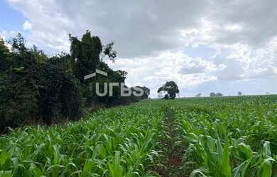 Imagem 1: Fazenda/Sítio/Chácara para venda tem 288000 metros quadrados