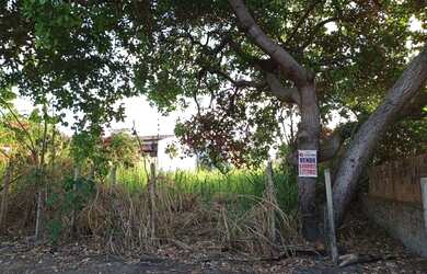 Imagem 4: Vendo excelente Terreno em Praia Bela - Pitibu/PB