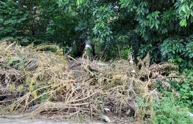 Imagem 5: Carmen Imóveis Vende Terreno Serra do Piloto