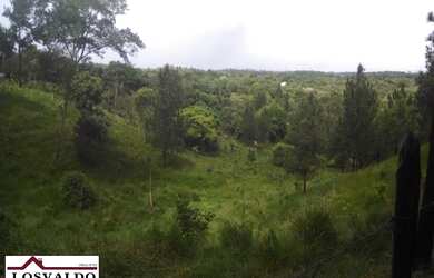 Imagem: A fazenda possui 262m² de Área e está localizado em Mata