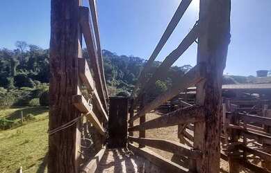 Imagem 8: 08 Alqueires, Rica em Água, Bela Vista Goiás- Goiás