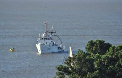 Imagem 7: CASA DE REVISTA NA VILA ASSUNÇÃO COM VISTA PARA O GUAÍBA C/ 347 metros quadrados com 2 SUÍ