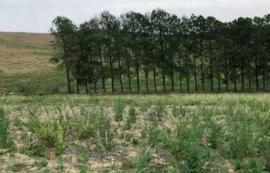 Imagem: O terreno possui 500m² de Área e está localizado em Nova