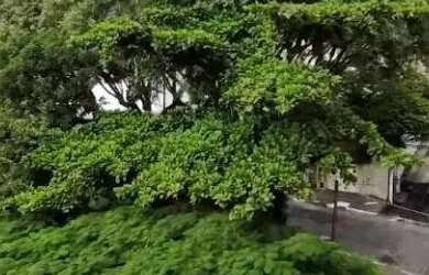 Imagem 8: Apartamento Padrão à venda, 2 dormitórios na Bela Vista, Osasco