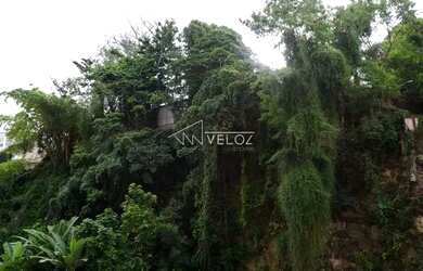 Imagem 16: Apartamento - / Residencial / Flamengo