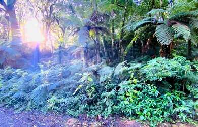 Imagem 5: A venda terreno de 7.620m², localizado em Canela