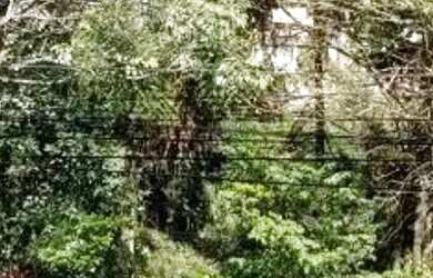 Imagem 9: SOBRADO - SANTA ÂNGELA - MG