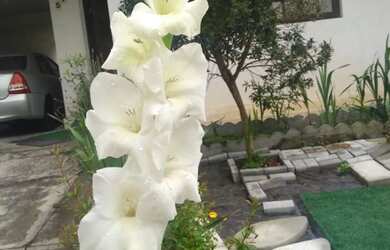 Imagem 16: Sobrado para Venda em Curitiba, Boa Vista, 4 dormitórios, 1 suíte, 3...