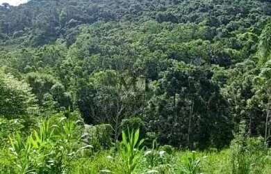 Imagem 11: Sítio bairro São Jacó, Nova Petrópolis.RS Ref. 159