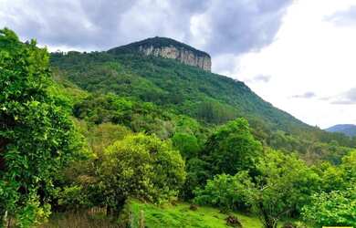 Imagem 8: Sítio / Chácara para Venda em Nova Petrópolis, Linha Riachuelo, 3 dormitórios,...