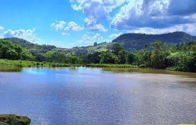 Imagem 12: Sítio / Chácara para Venda em Linha Nova, Linha Nova