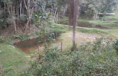 Imagem 9: 1 hectare Paulista 3 lagos mais pocilga 174 mil reais