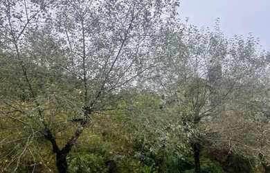 Imagem 4: Terreno - Bairro Vale das Colinas